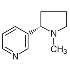 Thermo wissenschaftliches chemisches Vermittler-L-Nikotin öliges flüssiges 99% Cas 54-11-5