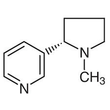 Thermo wissenschaftliches chemisches Vermittler-L-Nikotin öliges flüssiges 99% Cas 54-11-5